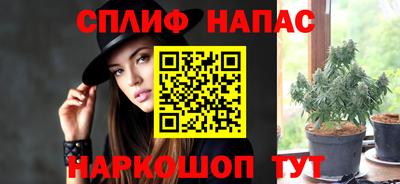 гидра Бузулук