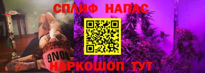 гидра Бузулук
