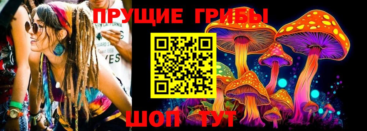 Галлюциногенные грибы Psilocybe Краснознаменск
