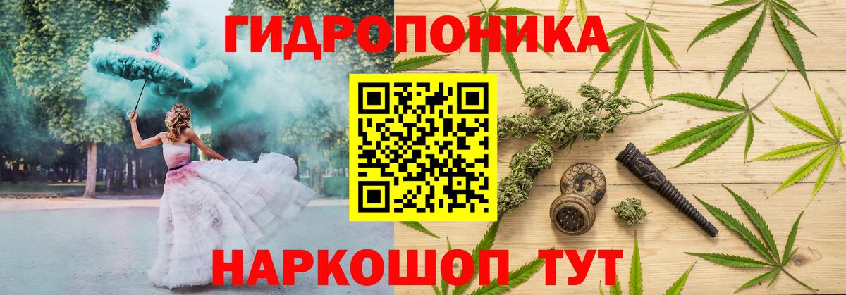 Конопля индика Краснознаменск